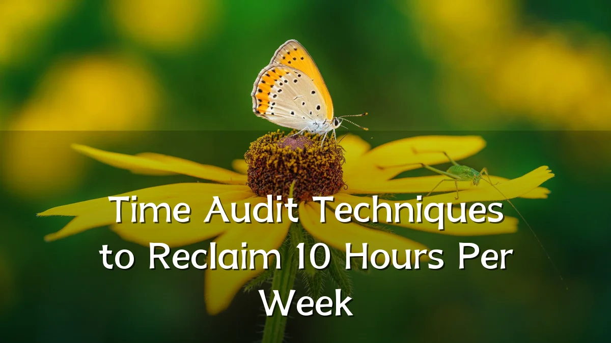 Time Audit Techniques to Reclaim 10 Hours Per Week