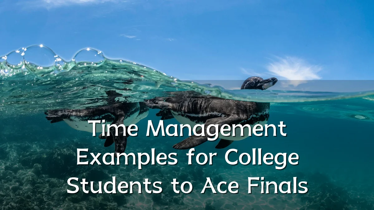 Time Management Examples for College Students to Ace Finals
