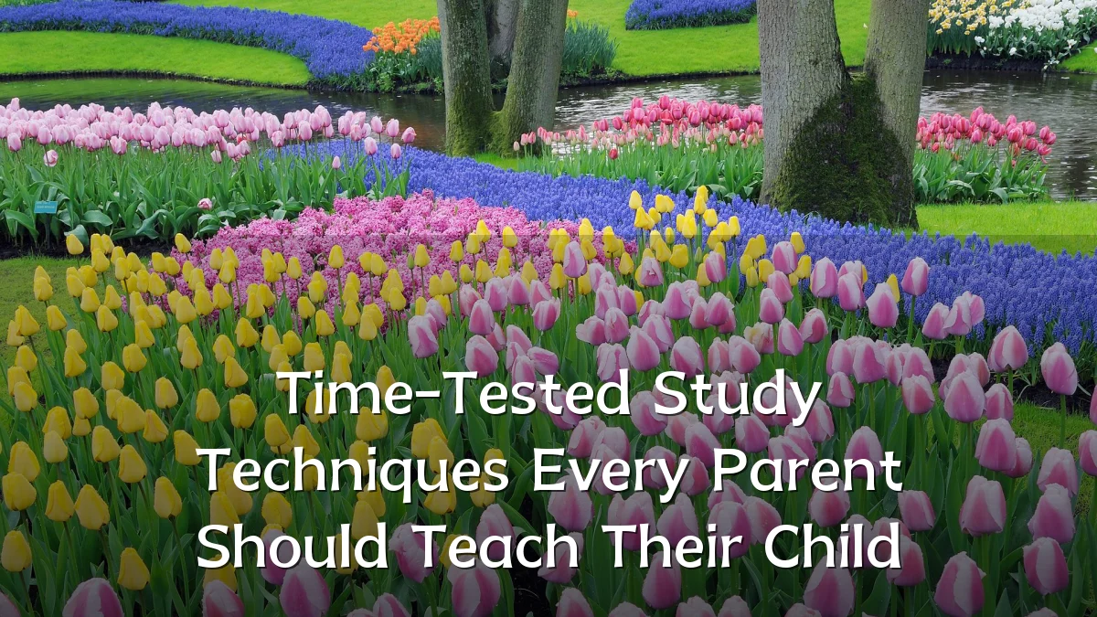 Time-Tested Study Techniques Every Parent Should Teach Their Child